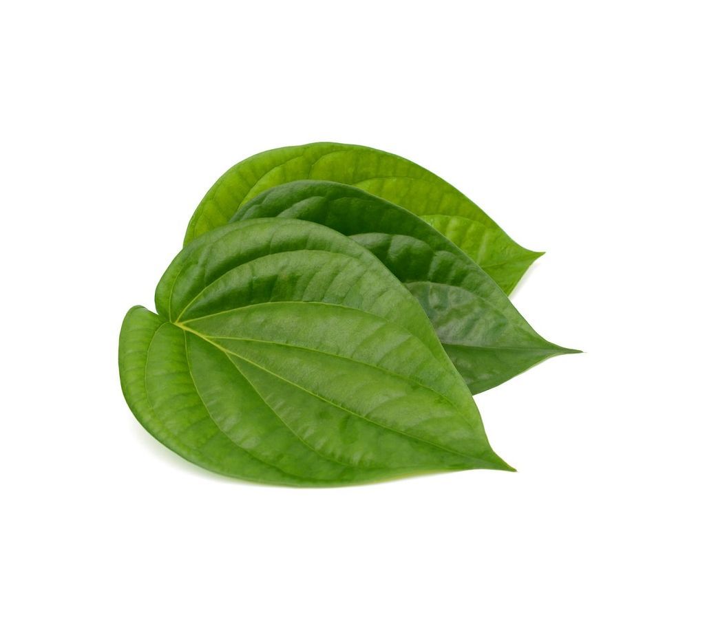 Betel Leaf (Pan)  0.5 bira