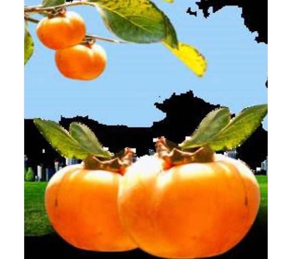 Japani Gab (Testy Fruit) 1Kg JAPAN