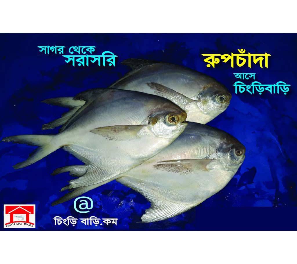 Rupchanda Fish From Bay Of Bengal 1 kg