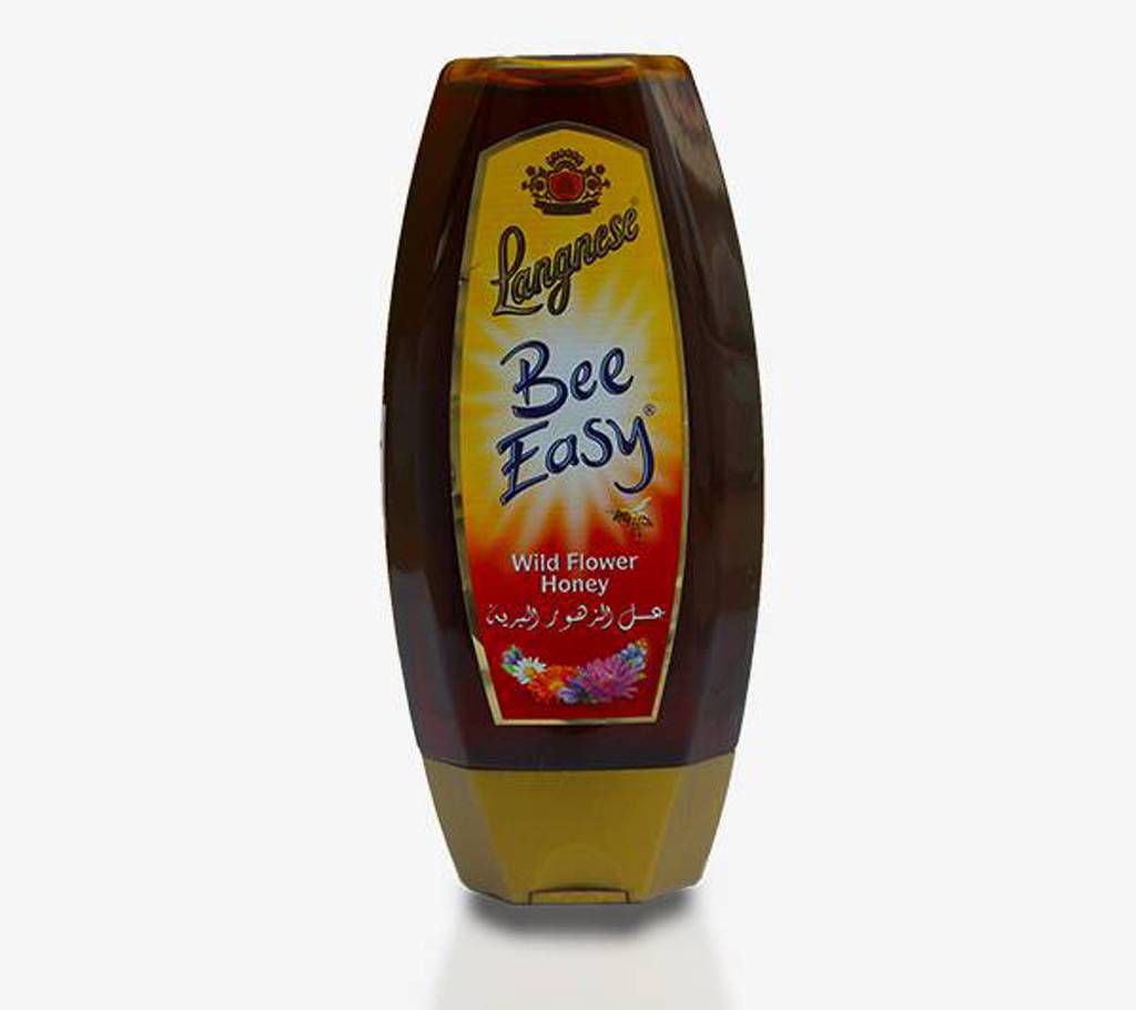 Langnese Wildflower Honey (500gm)
