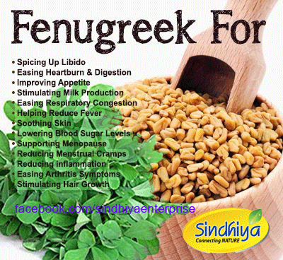Methi Powder 70g / Fenugreek Seeds