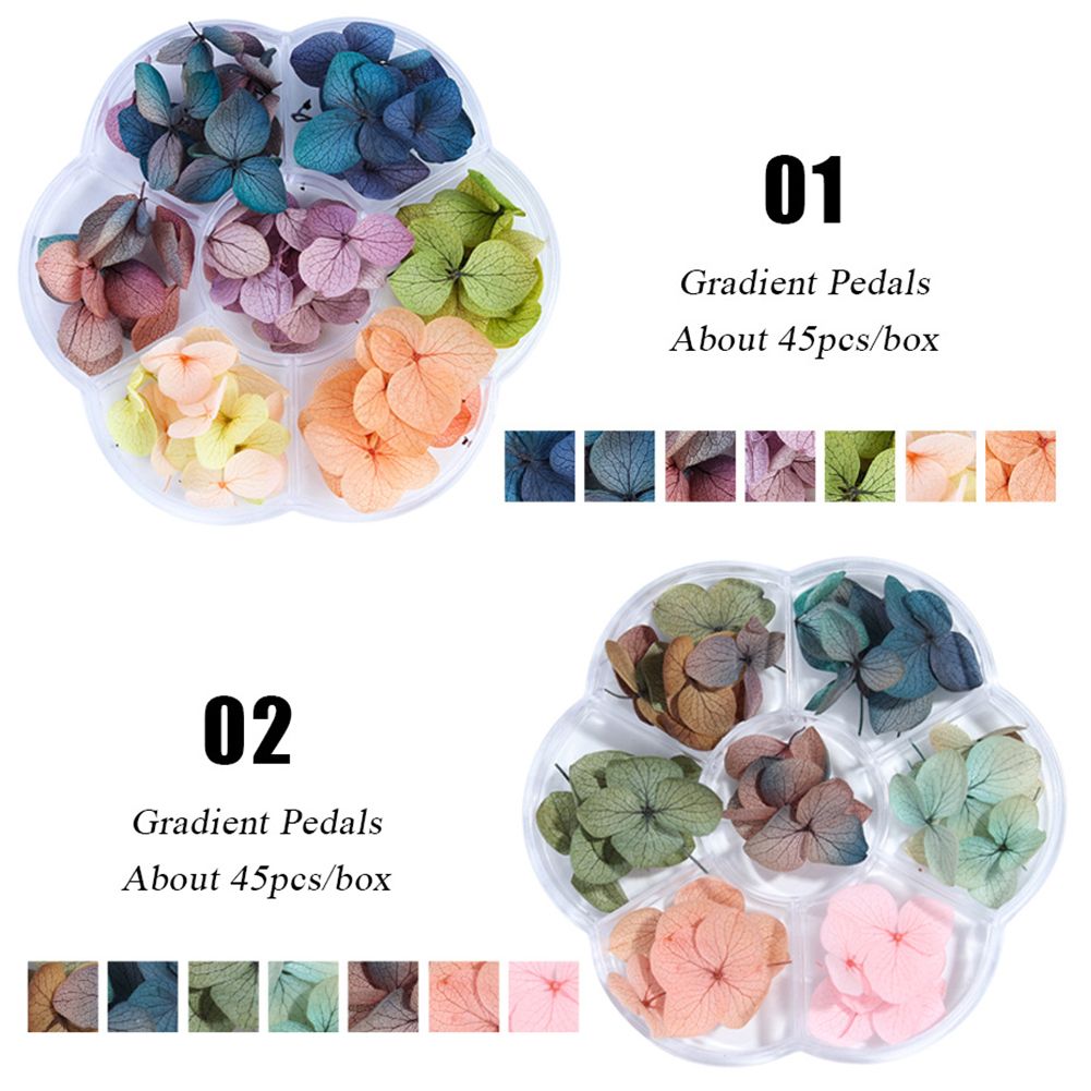 1 Box Christmas Multi Color Nail Art Dried Flower Festival Manicure Decoration