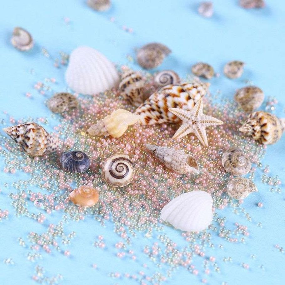 1 Box Ocean Style Shell Conch Starfish 3D Nail Art Decor DIY Manicure Craft Tool