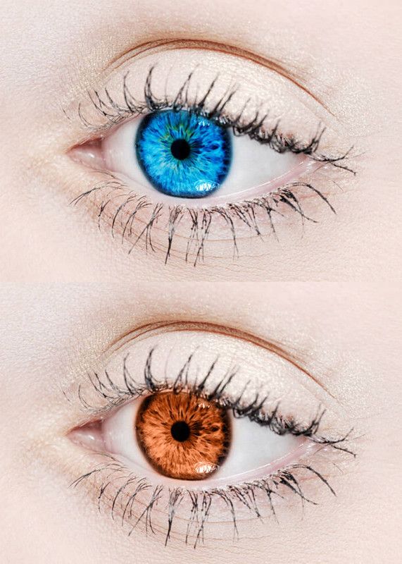 EYCOG Monthly Disposable  (0, Colored Contact Lenses, Pack of 2)