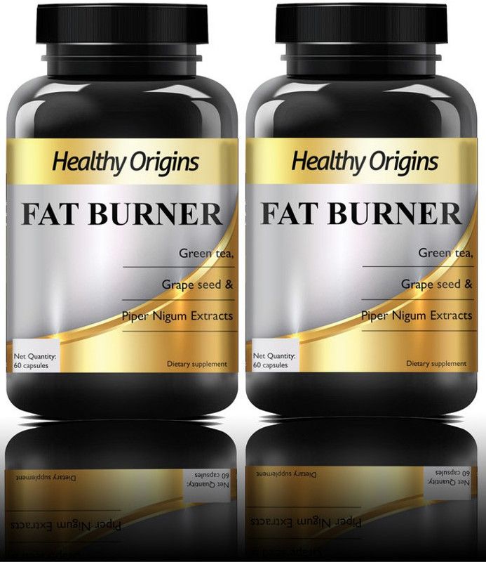 Healthy Origins Nutrition Fat Burner, Fat burner supplements/Fat burner for Men/women (120N WG)Pro  (2 x 60 No)