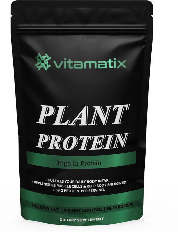 Vitamatix 100% Natural Vegan Protein Powder Plant Based ProteinPro (OL173) Plant-Based Protein  (500 g, Chocolate)