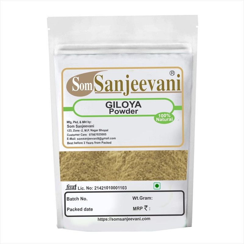 SOMSANJEEVANI Natural Giloy Powder 100g pack of 1  (100 g)