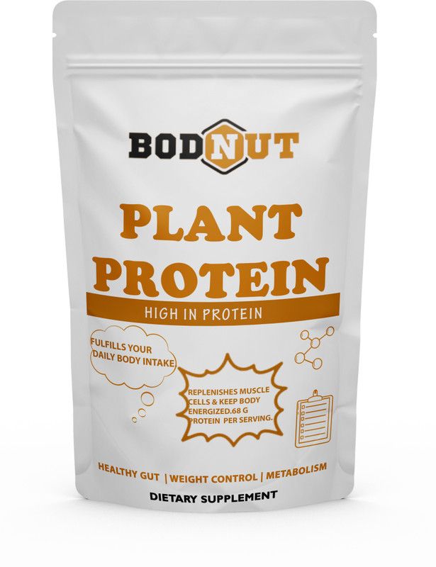 Bodnut 100% Natural Vegan Protein Powder Plant Based ProteinPremium (OL174) Plant-Based Protein  (600 g, Chocolate)