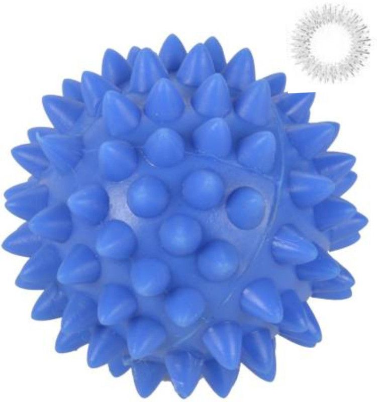 ACM 2000 216 523 Acupressure tool kit combo with Acupressure Palm Massage Massager  (Blue)