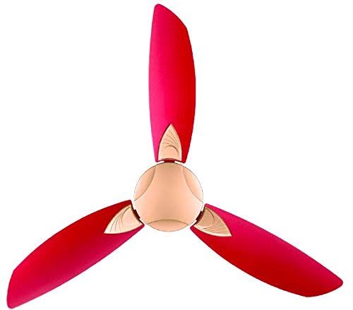 Usha Bloom Primrose 1250 mm 3 Blade Ceiling Fan (Sparkle Golden, Cherry, Pack of 1)