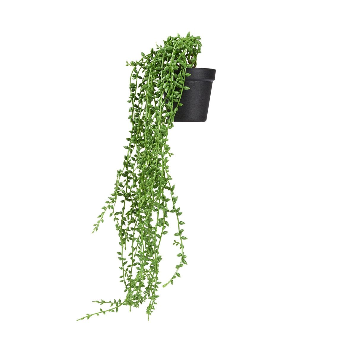 Artificial Draping String of Pearls Plant