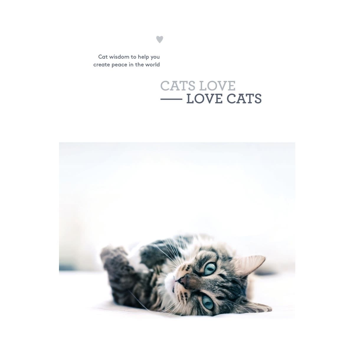 Cats Love Love Cats - Book