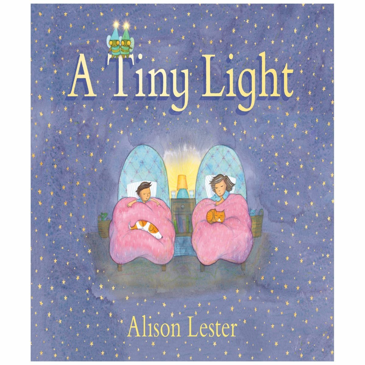 A Tiny Light by Alison Lester - Book
