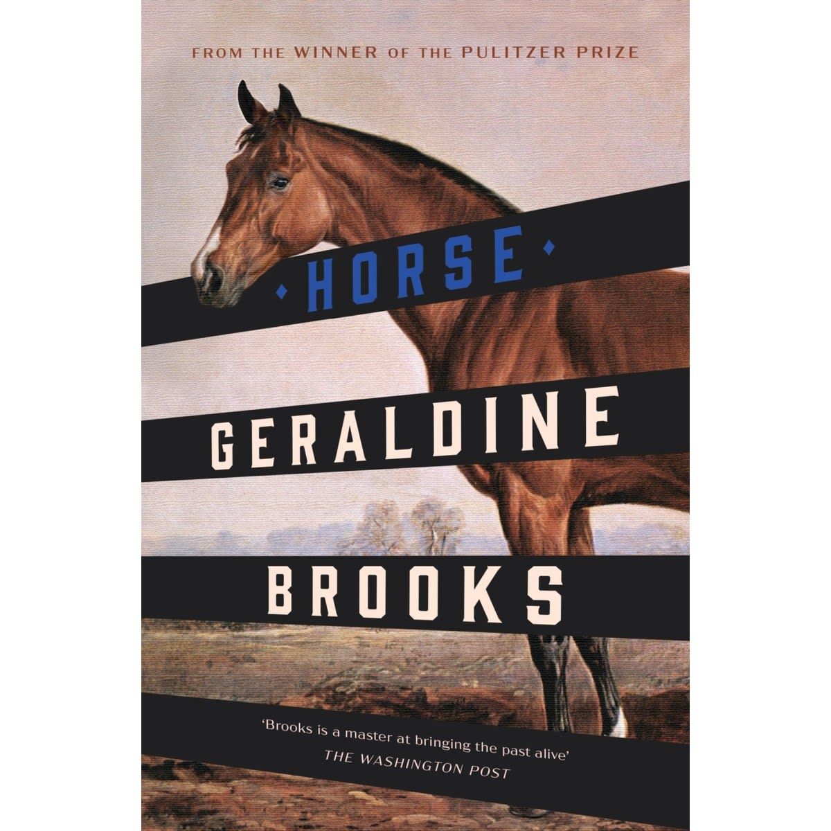 Horse by Geraldine Brooks - Book