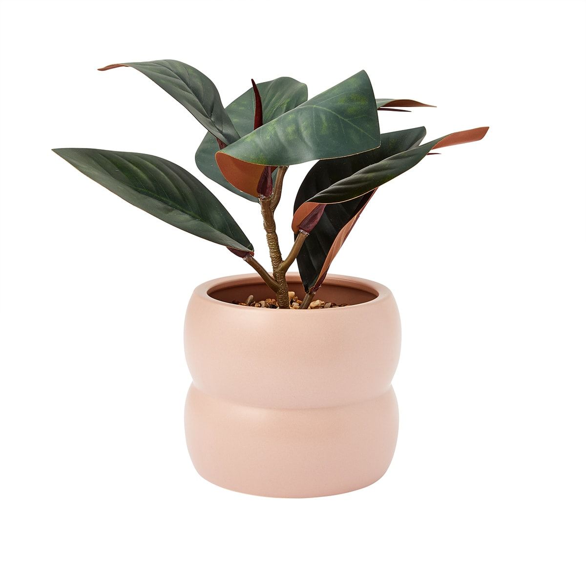 Artificial Rubber Plant In Curved Pot