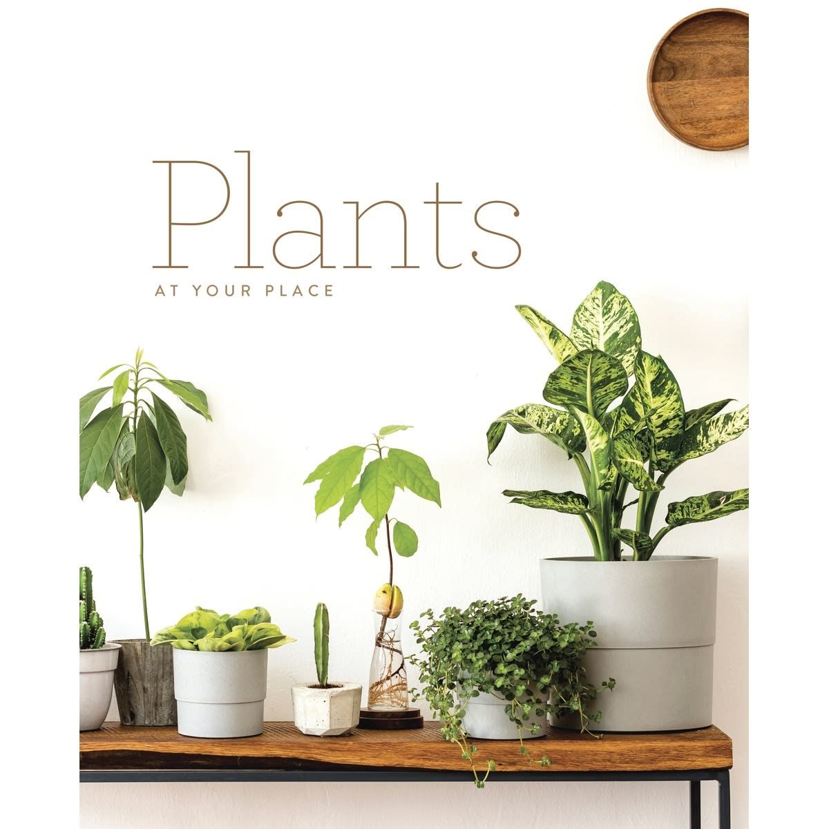 Plants At Your Place - Book