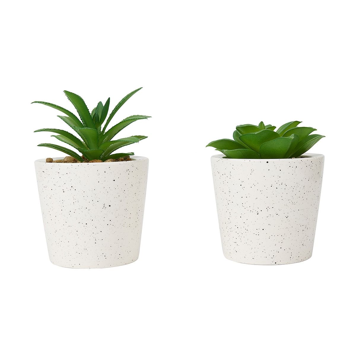 Artificial Succulent in Pot - Assorted