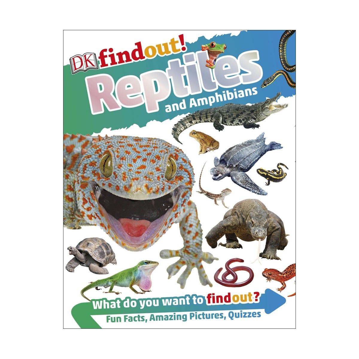 DKfindout! Reptiles & Amphibians - Book