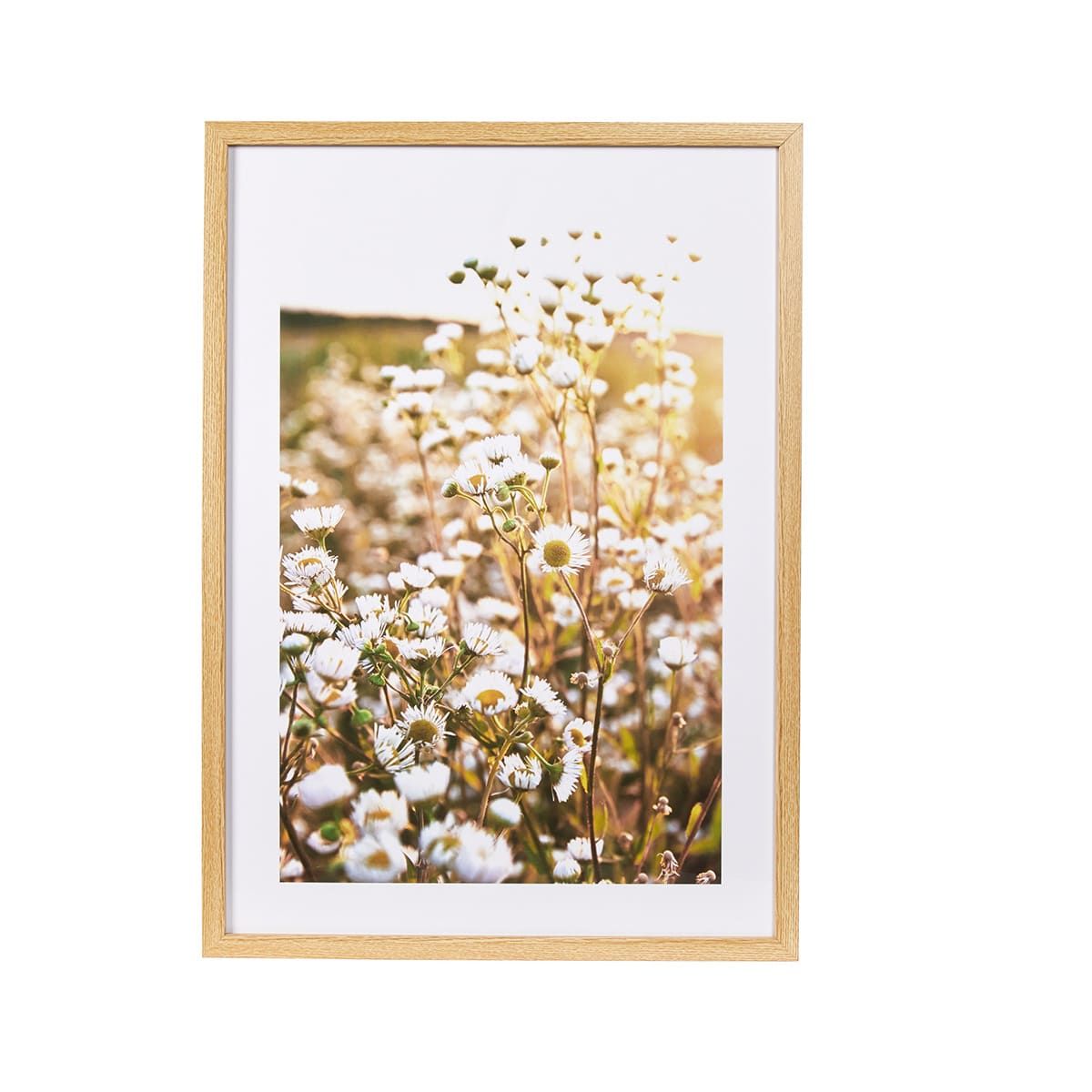 Daisy Framed Print