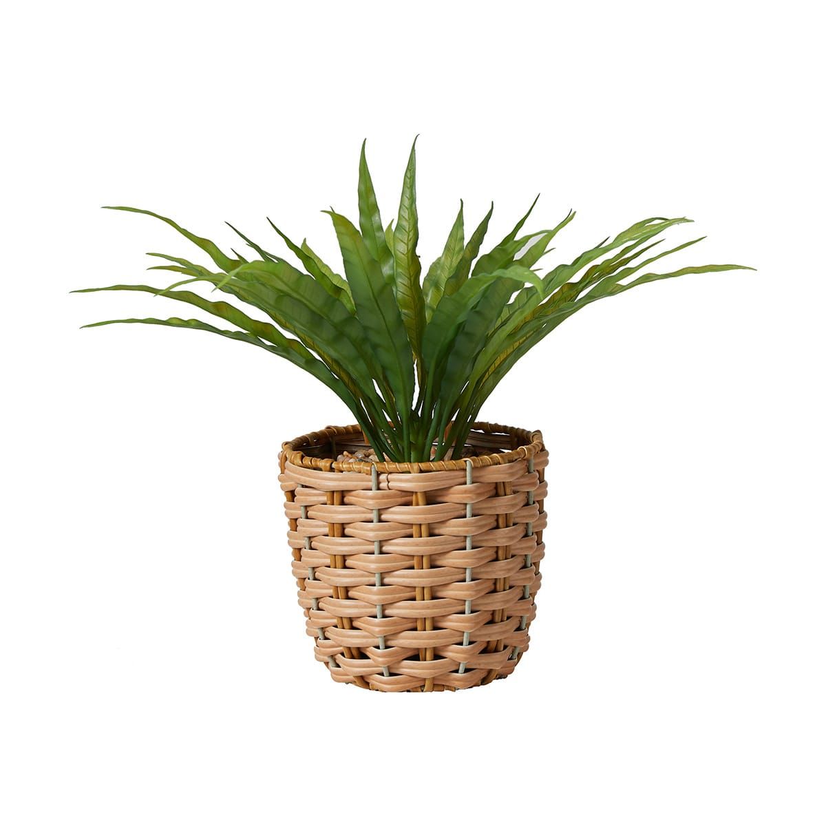 Artificial Birds Nest Fern
