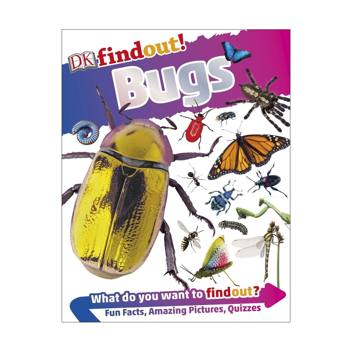 DKfindout! Bugs - Book