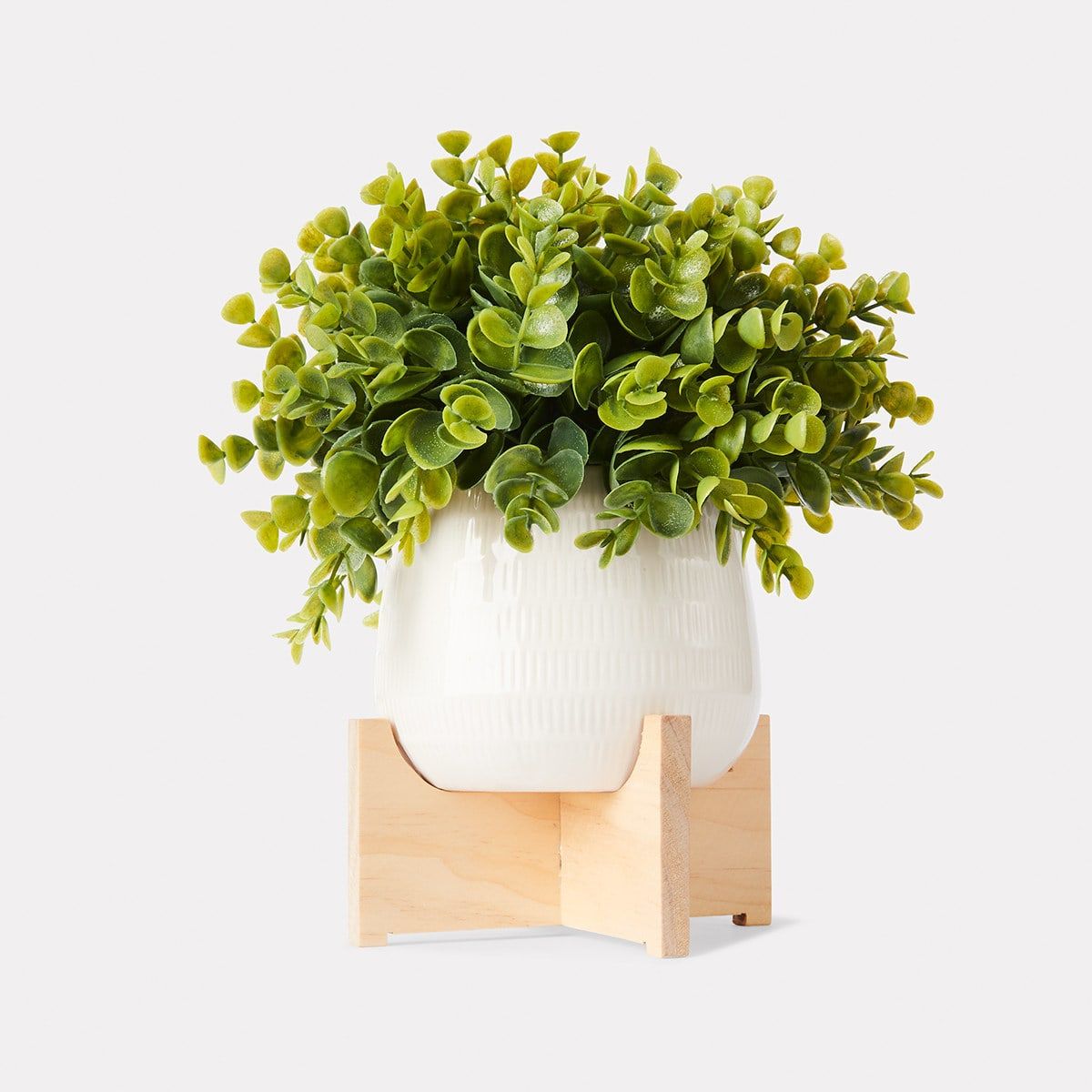 Artificial Box Tree on Stand