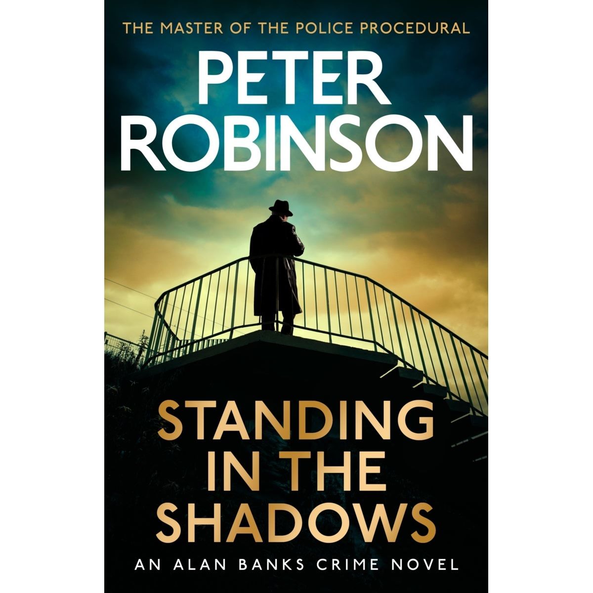 Standing in The Shadows by Peter Robinson - Book