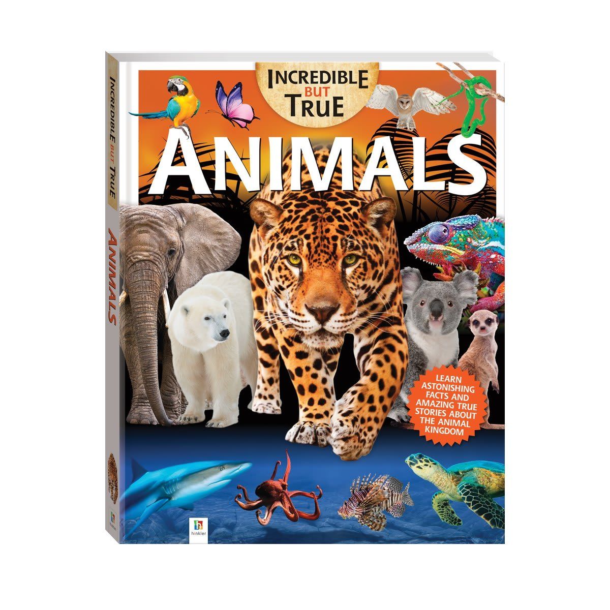 Incredible But True Animals - Book