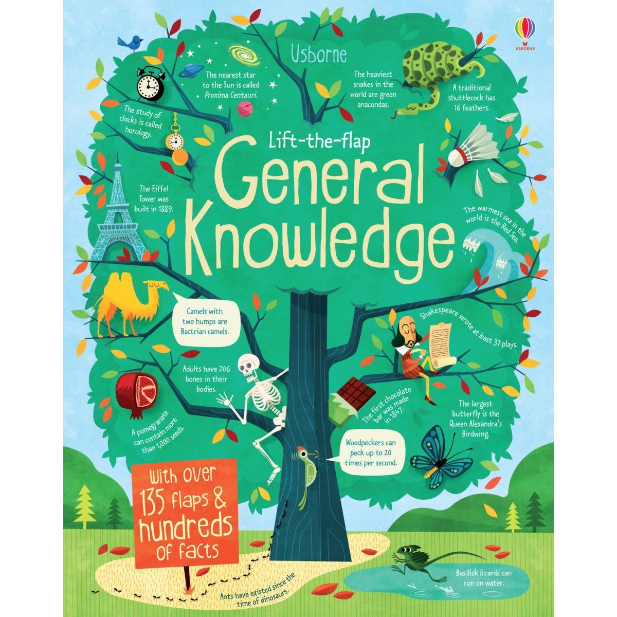 Lift-the-Flap General Knowledge by A Frith, J Maclaine - Board Book
