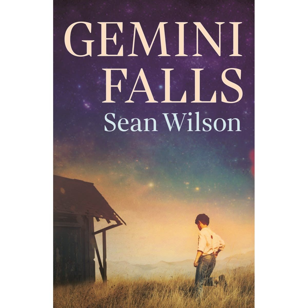 Gemini Falls by Sean Wilson - Book
