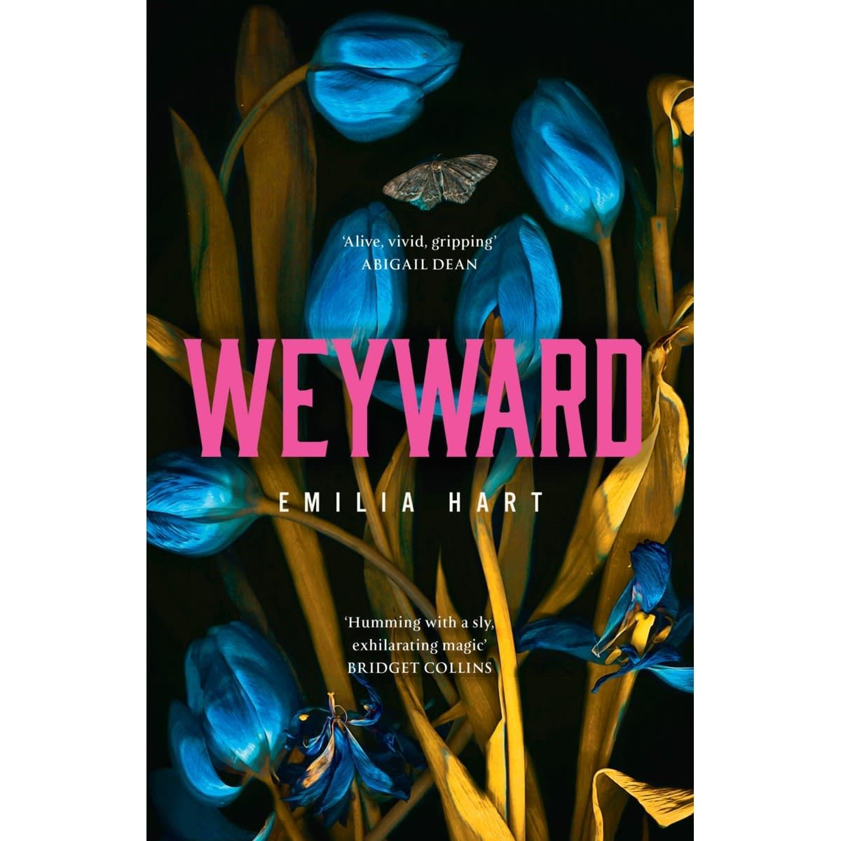 Weyward by Emilia Hart - Book