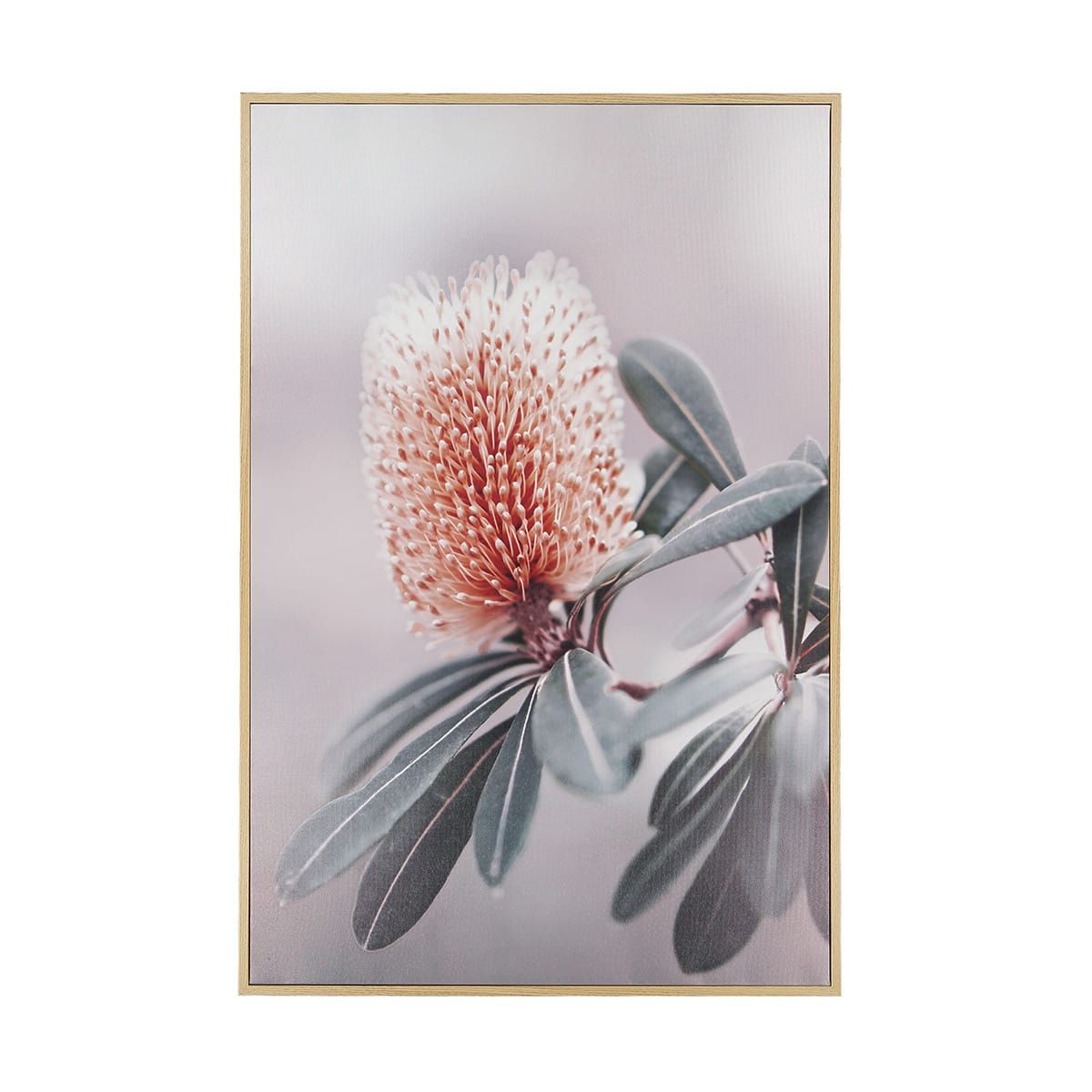 Banksia Framed Canvas