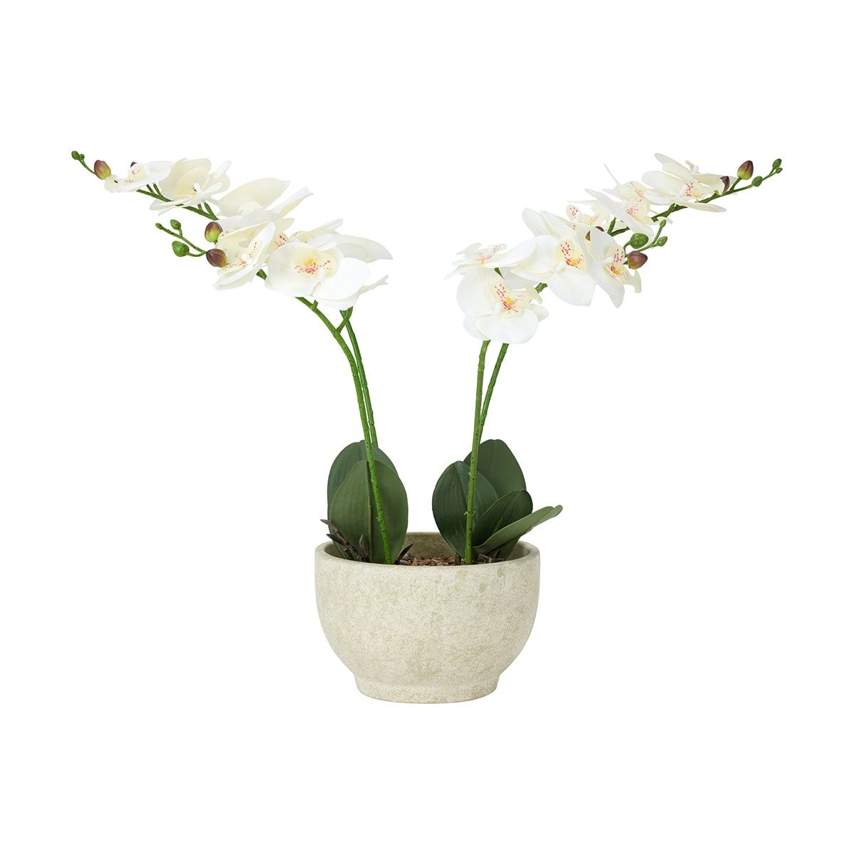 Artificial Orchid in Textured Pot