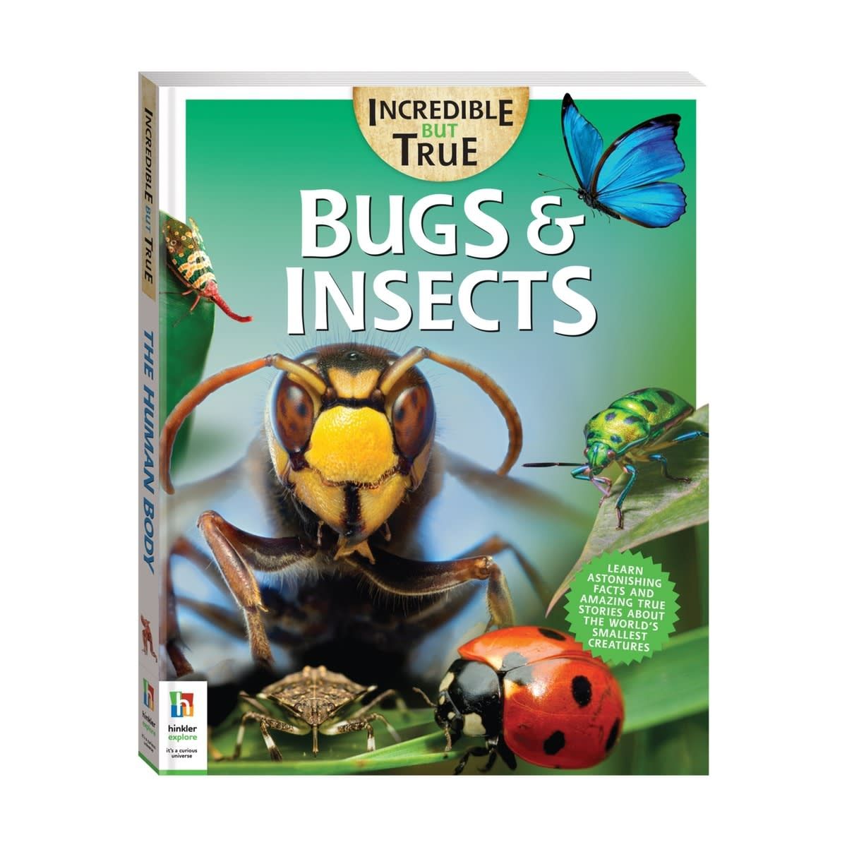 Incredible But True: Bugs & Insects - Book
