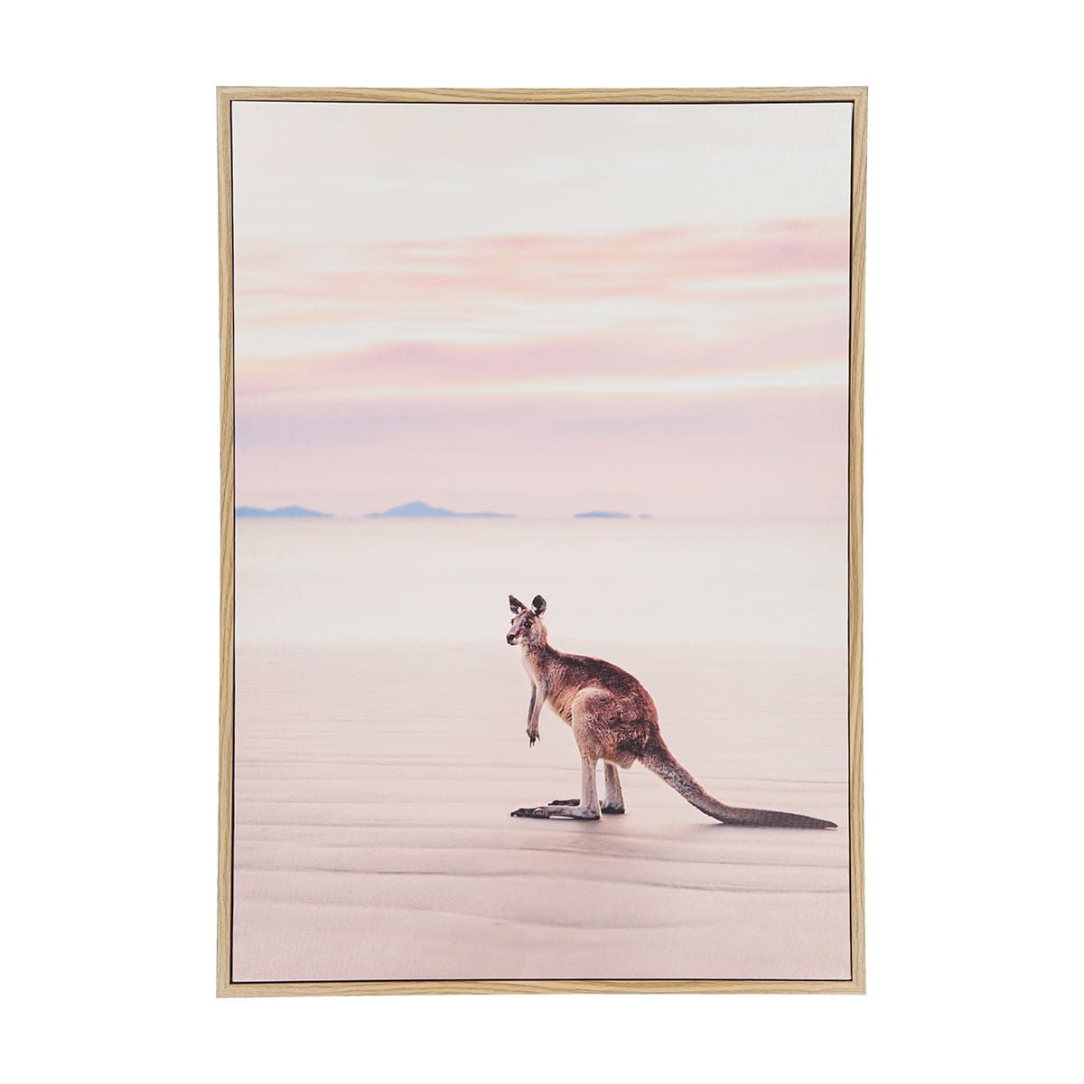 Kangaroo Framed Canvas