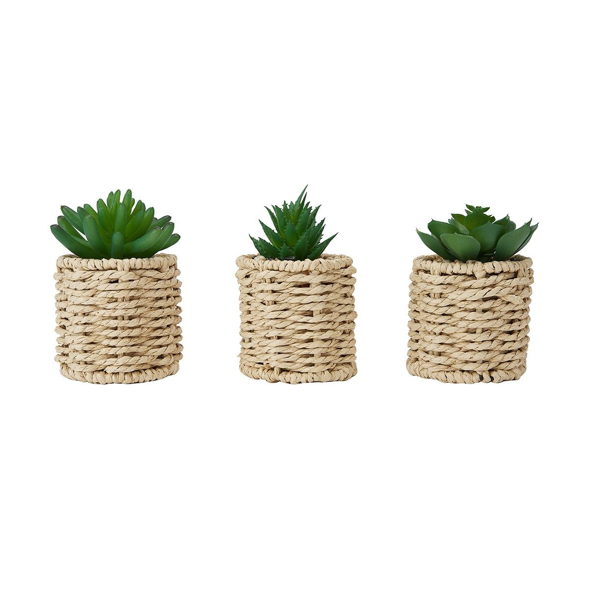3 Artificial Succulents in Rattan Look Pot