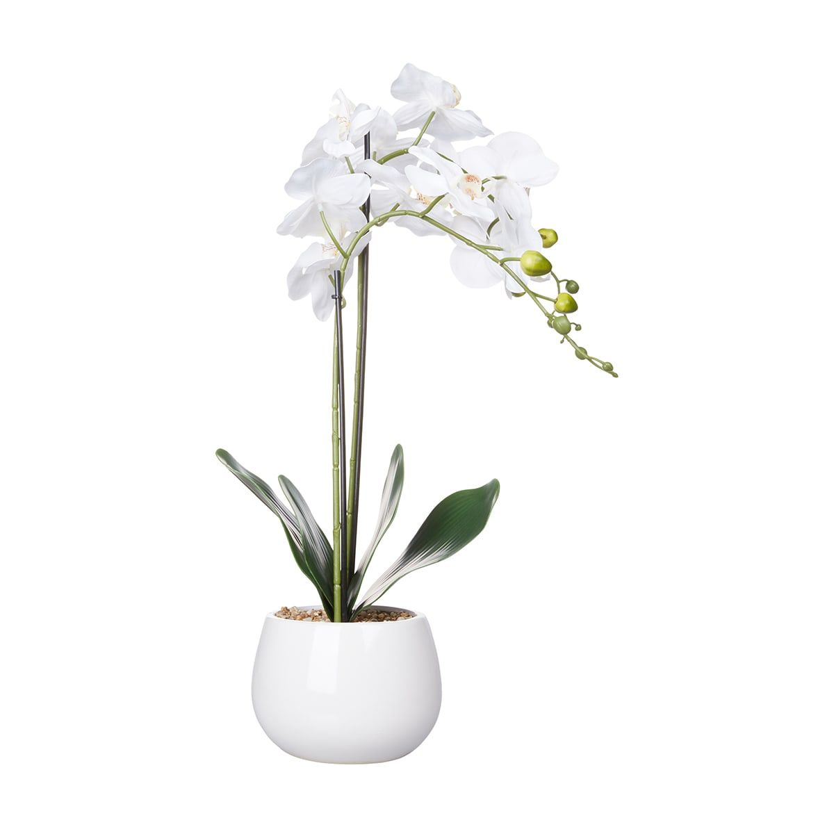 Artificial Orchid in Pot
