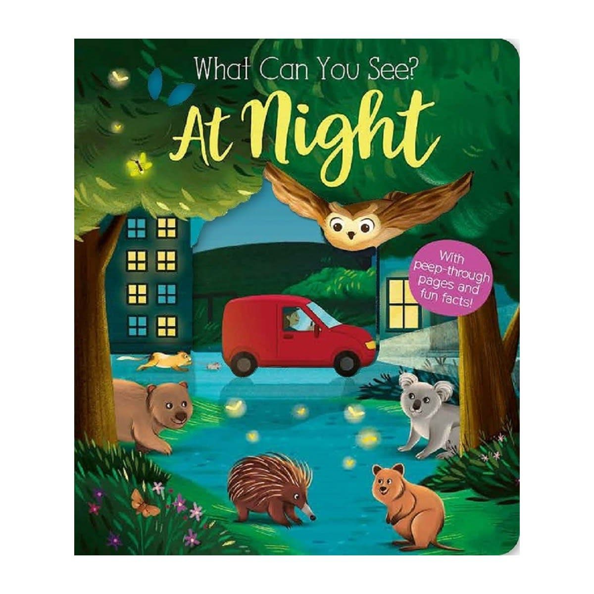 What Can You See? At Night by Kate Ware - Book