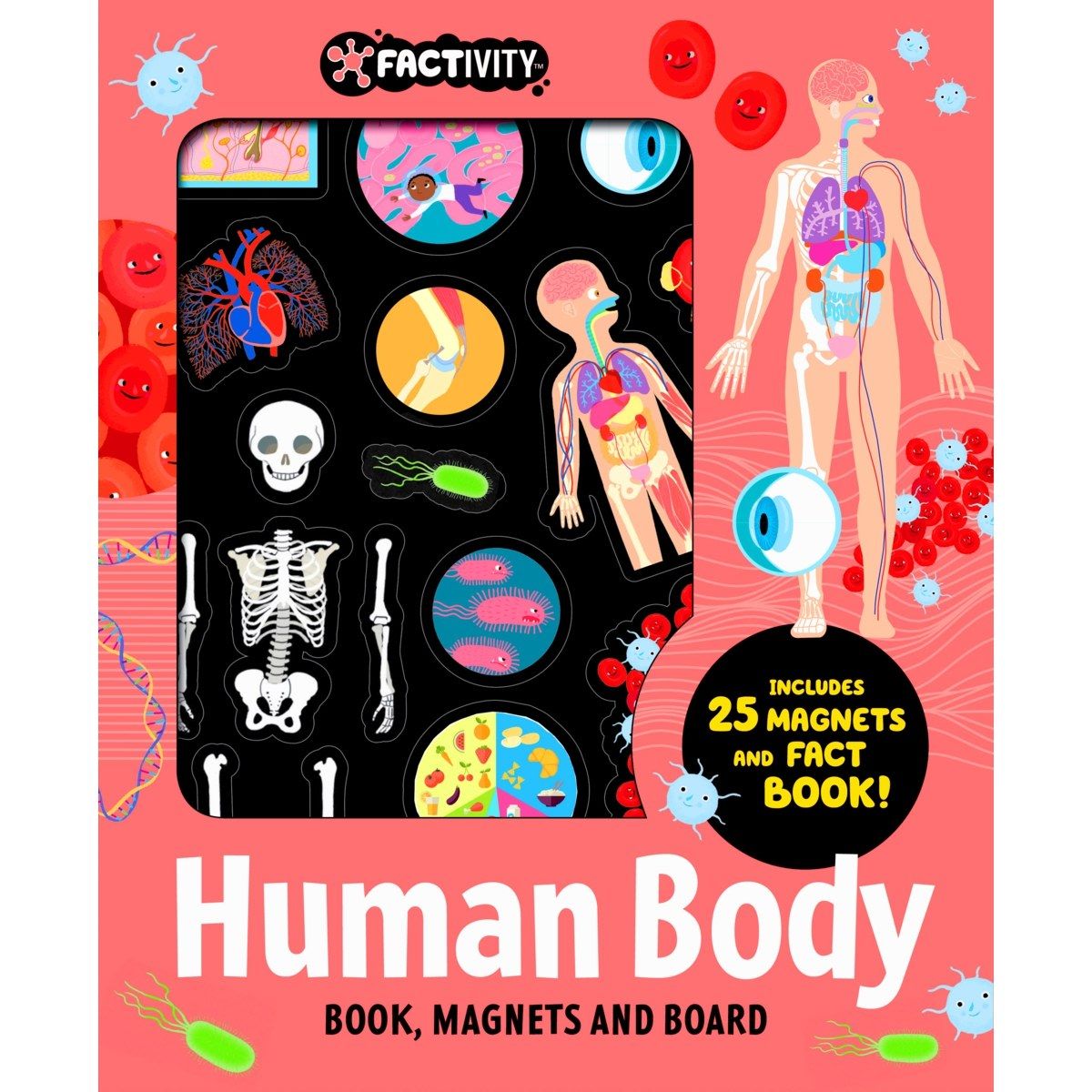 Factivity: Human Body Book, Magnets and Board - Book