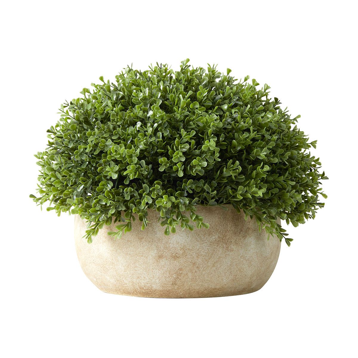 Artificial Oval Topiary