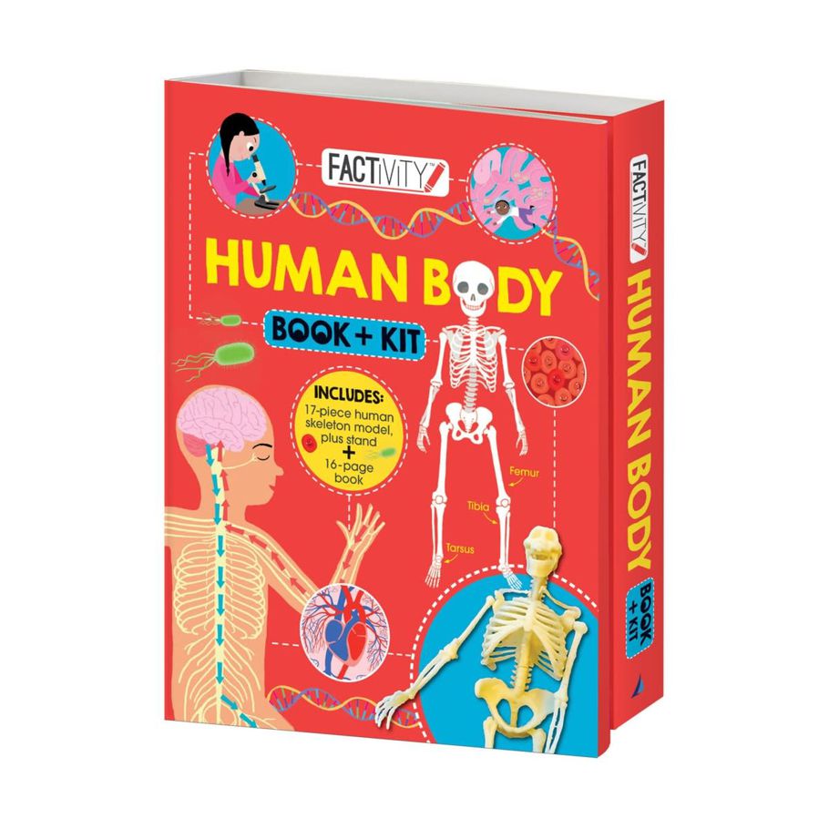 Factivity: Human Body Book Kit