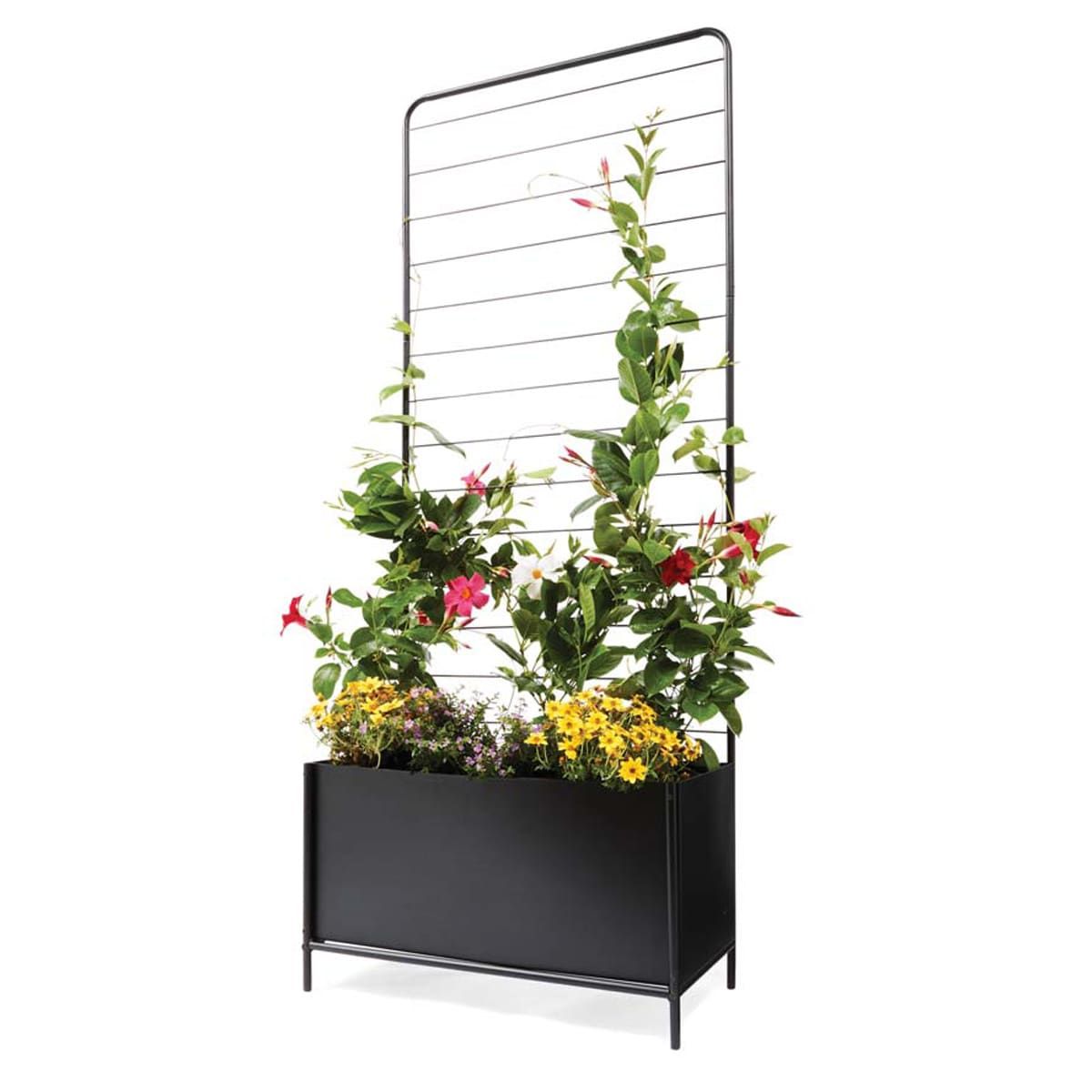 Metal Planter with Trellis
