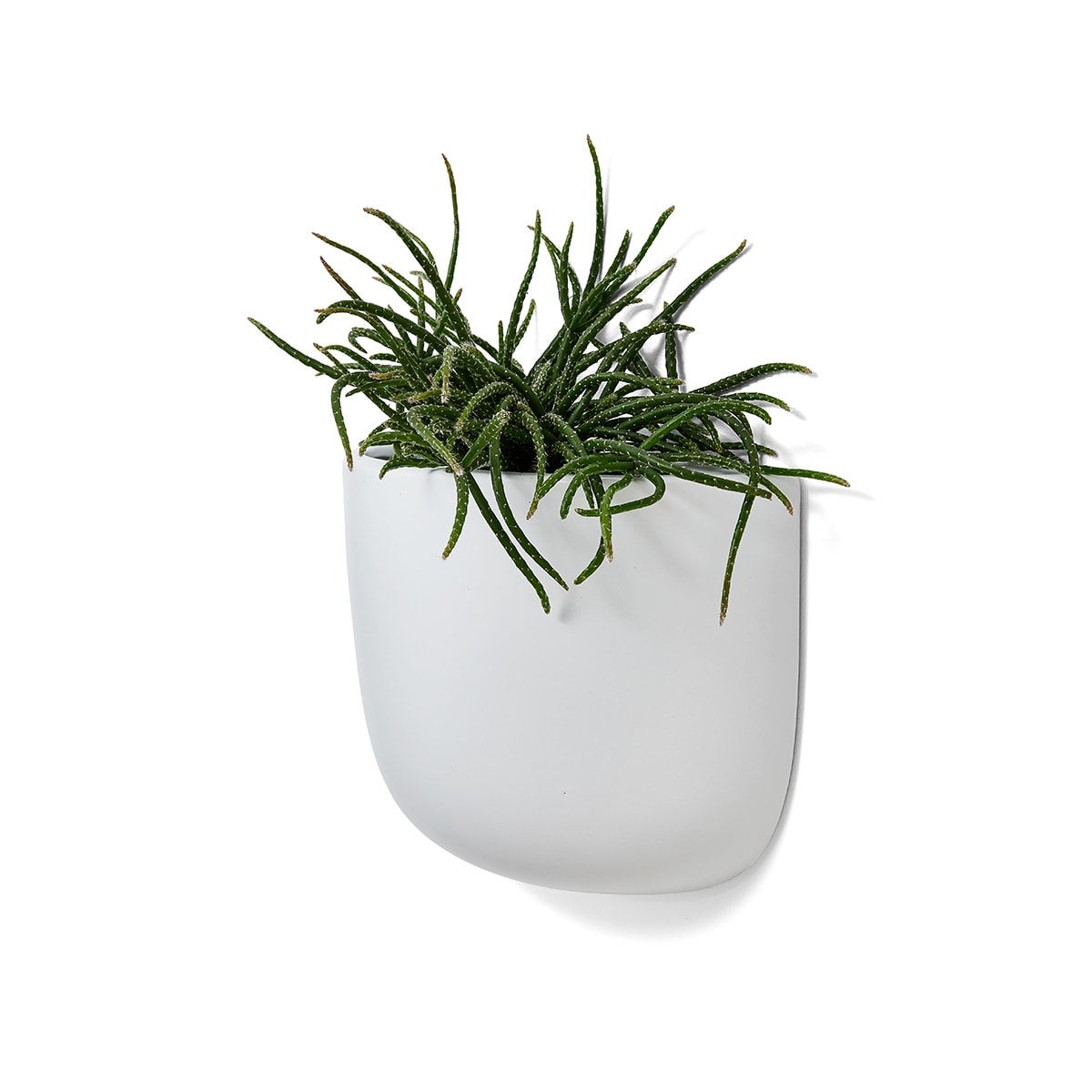 Large Hanging Wall Planter