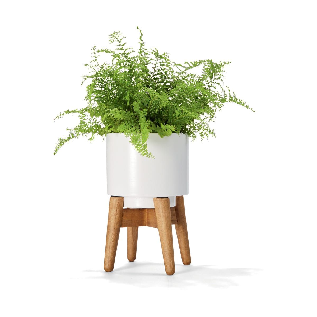 Mini Pot with Stand