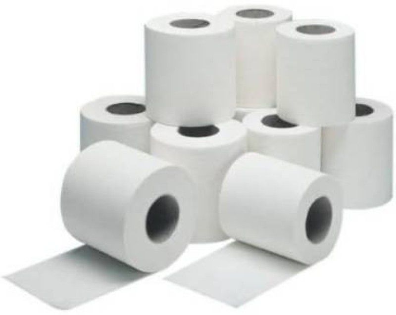 B S Natural Toilet Paper/Tissue Roll 2 Ply 10 Rolls Toilet Paper Roll  (2 Ply, 256 Sheets)