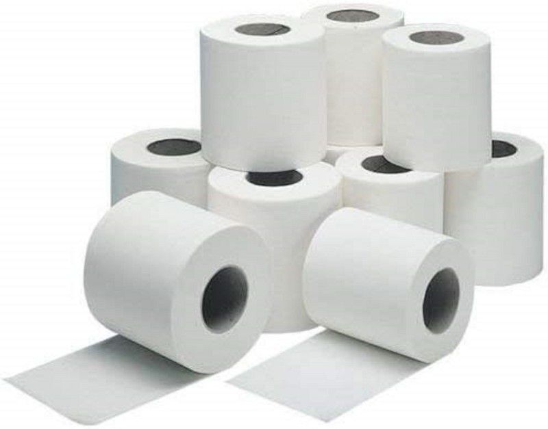 B S Natural Ply Soft Toilet Tissue Paper Rolls - 100 Sheets (Pack of 6) Toilet Paper Roll  (2 Ply, 100 Sheets)
