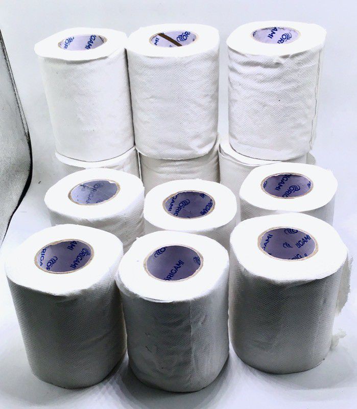 B S Natural So Soft 2 Ply Toilet Tissue (Pack of 12) Toilet Paper Roll Toilet Paper Roll  (2 Ply, 199 Sheets)