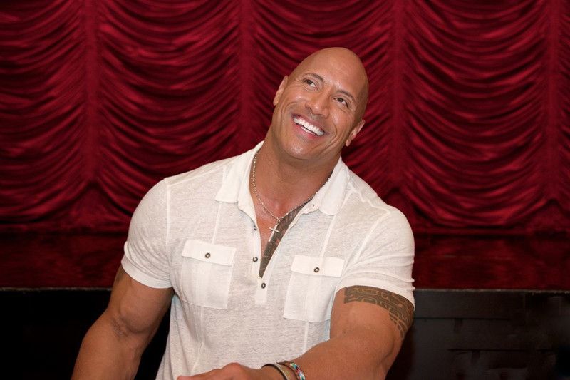 The Rock Multicolour Photo Paper Print Poster Photographic Paper Photographic Paper  (18 inch X 12 inch, Rolled)