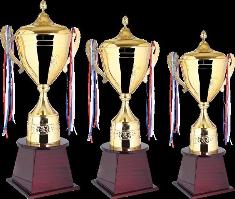 Super Collection MC 1 Trophy for Sports Award Ceremony Trophy  (M)