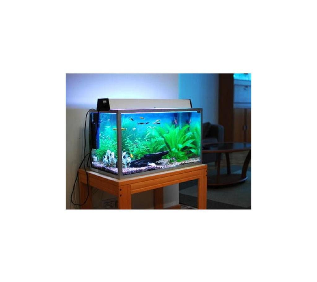 Fresh Water Aquarium Tank 